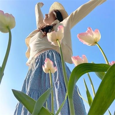 花花世界花家姐粤语